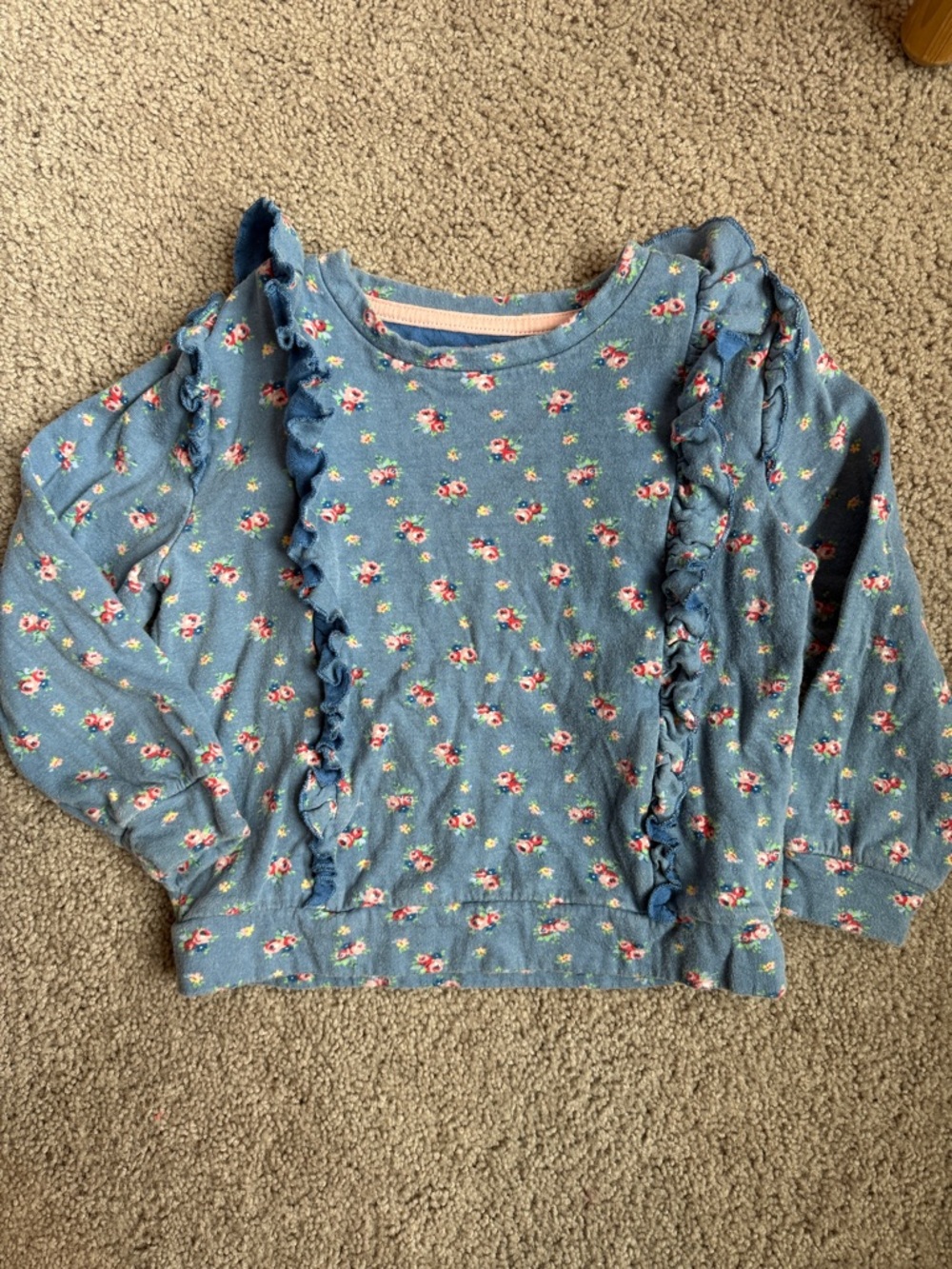 Mini Boden Light Blue Floral Ruffle Sweatshirt